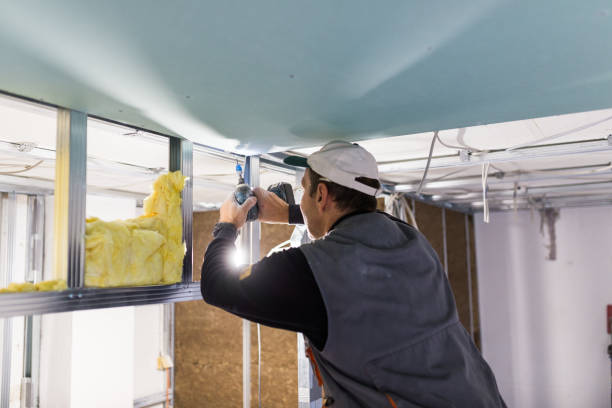 Best Cellulose Insulation in Price, UT
